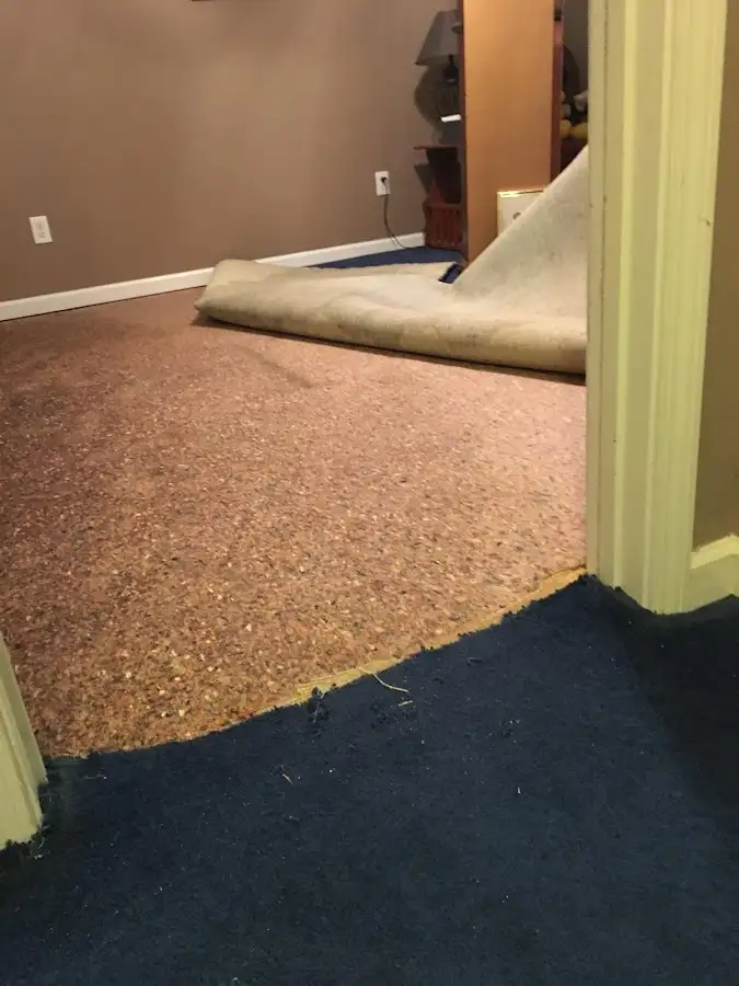 Carpet pad removal revealing water damage during Drying & Dehumidification in Culver City